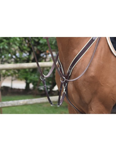 Elastic Breastplate and martingale