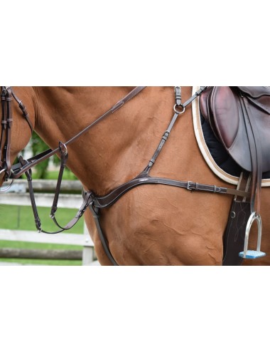 2 in 1 Breastplate and Martingale