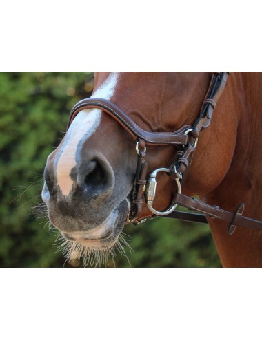 New York Noseband - One Collection