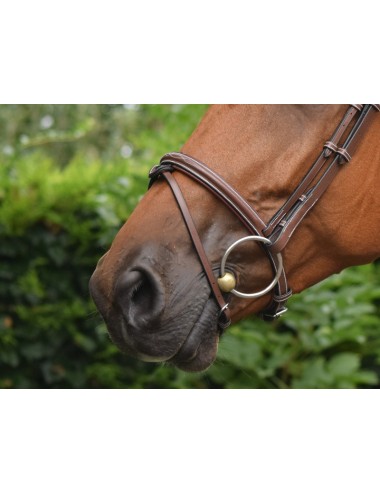 Paris Noseband - One Collection