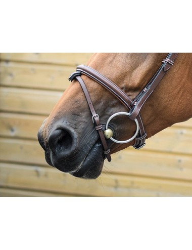 London Noseband - One Collection