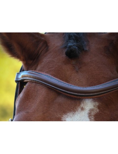 New York Browband - One Collection