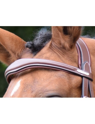 Bruxelles Browband - One Collection