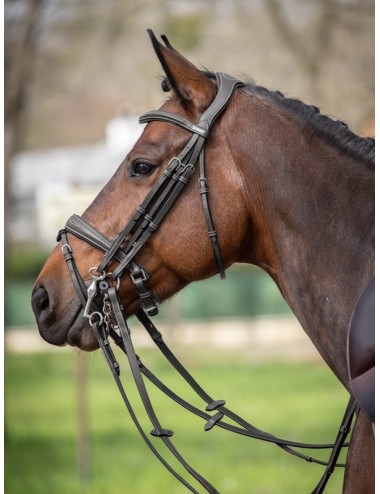 Megève Double Bridle - One Collection