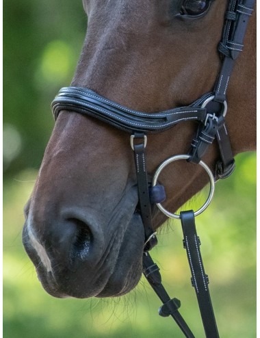 Manhattan Bridle - One Collection