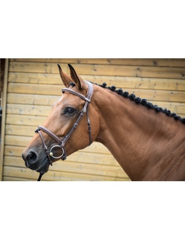 London Bridle - One Collection