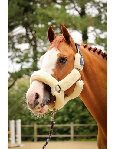 Soft One Halter - Cream